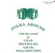 Chad Przybylski & The Polka Rhythms - Polka Around